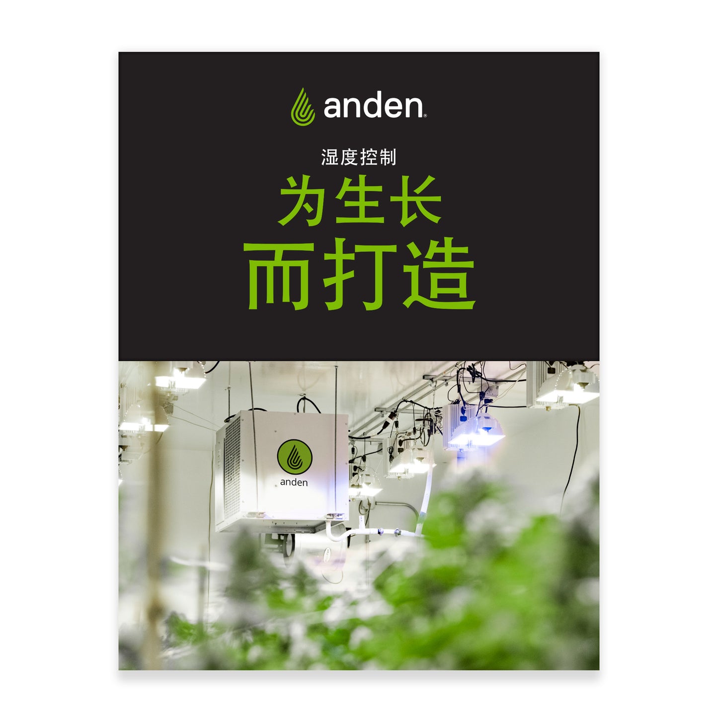 Anden Dehumidifier, Humidifier and Controls Product Guide - Chinese #6515CH