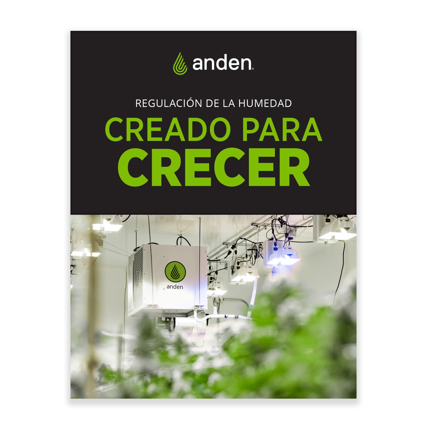 Anden Dehumidifier, Humidifier and Controls Product Guide Spanish #6546SP